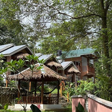Asim Paris Guesthouse & Jungle Trekking 武吉拉旺 外观 照片