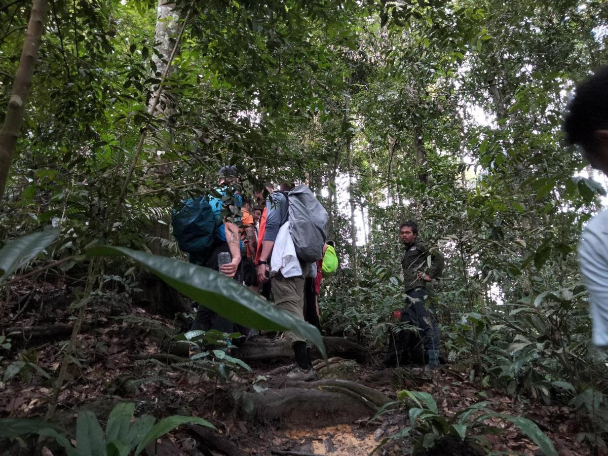 Asim Paris Guesthouse & Jungle Trekking 武吉拉旺 外观 照片