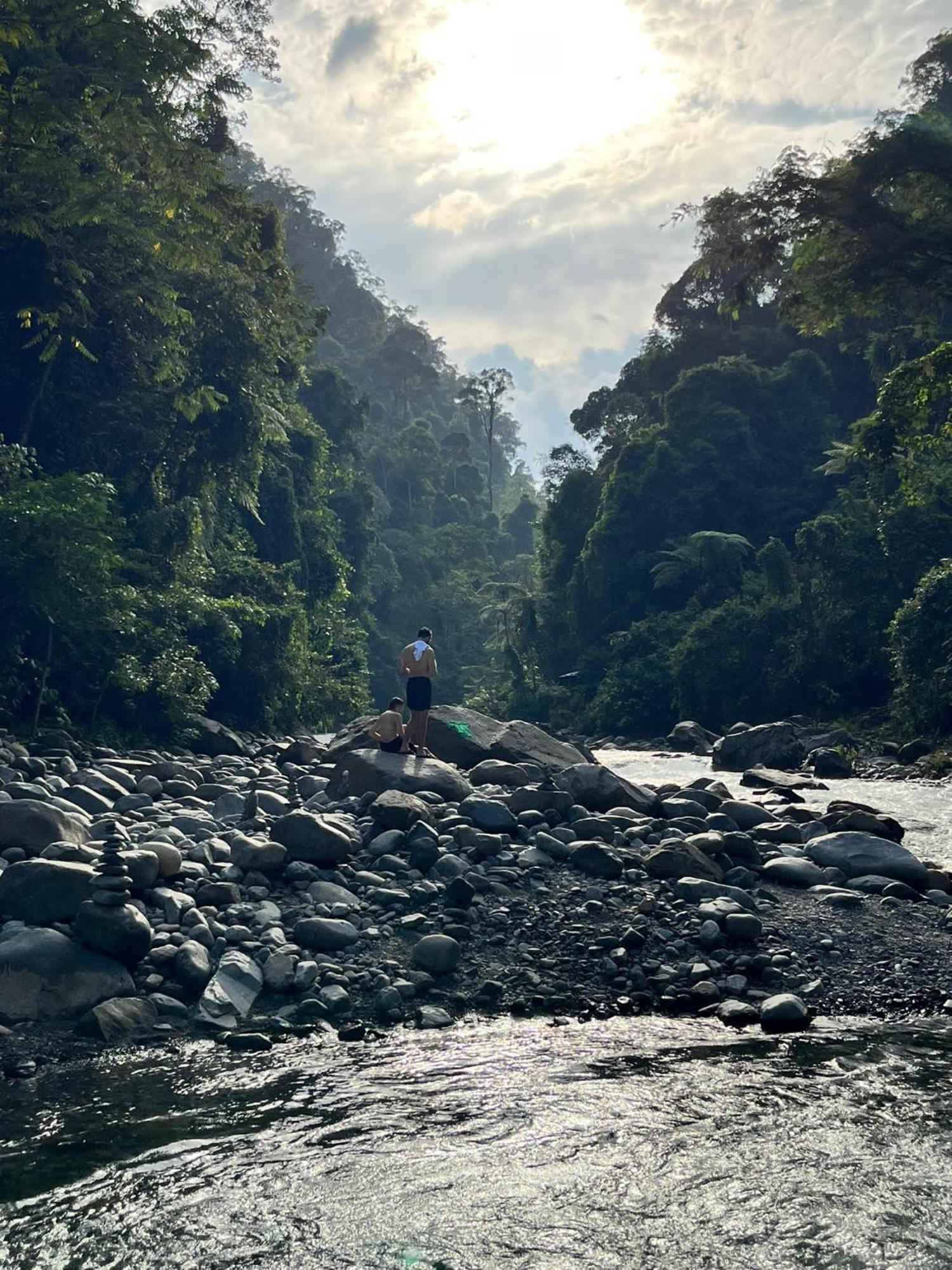 Asim Paris Guesthouse & Jungle Trekking 武吉拉旺 外观 照片