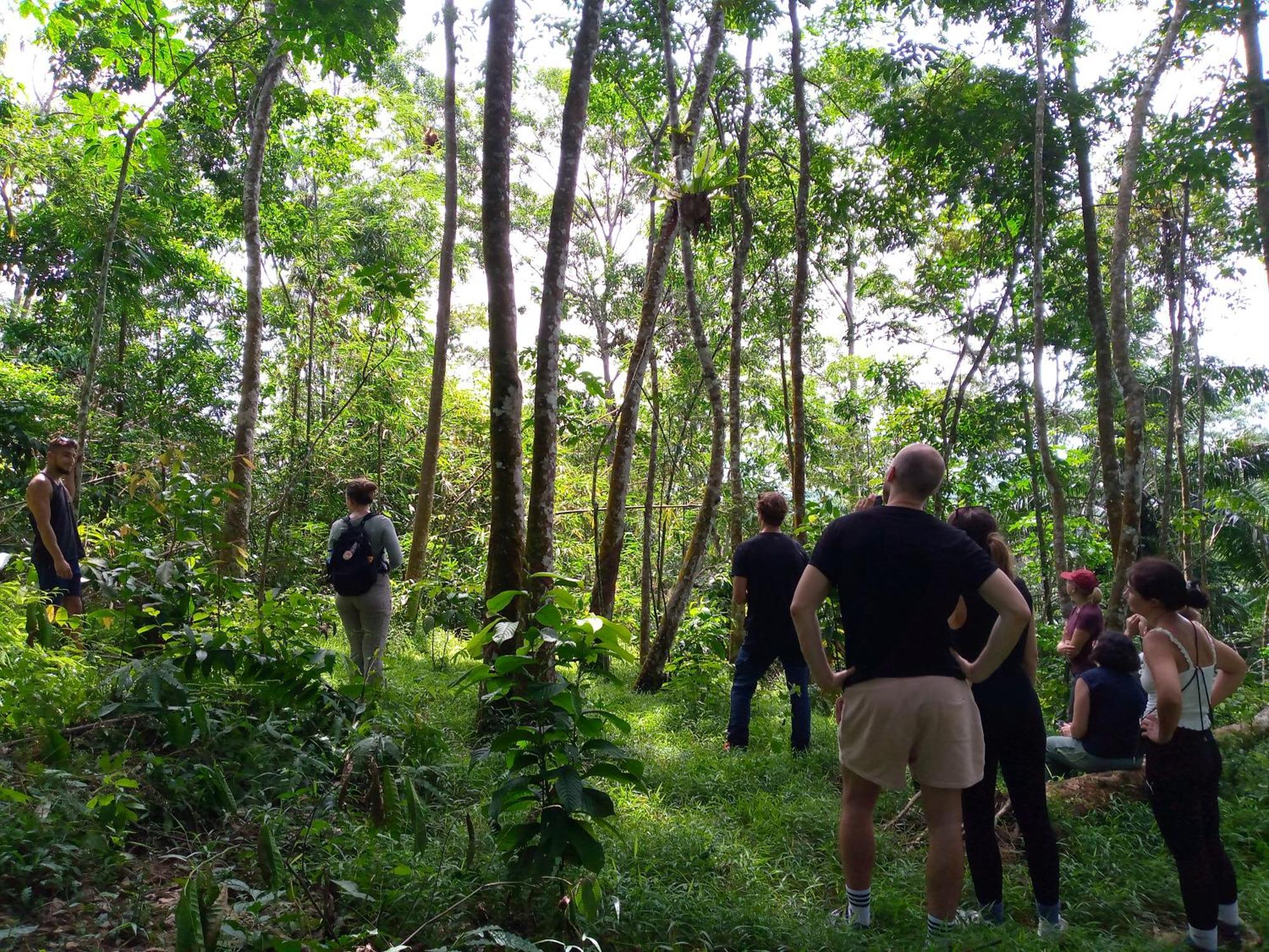 Asim Paris Guesthouse & Jungle Trekking 武吉拉旺 外观 照片