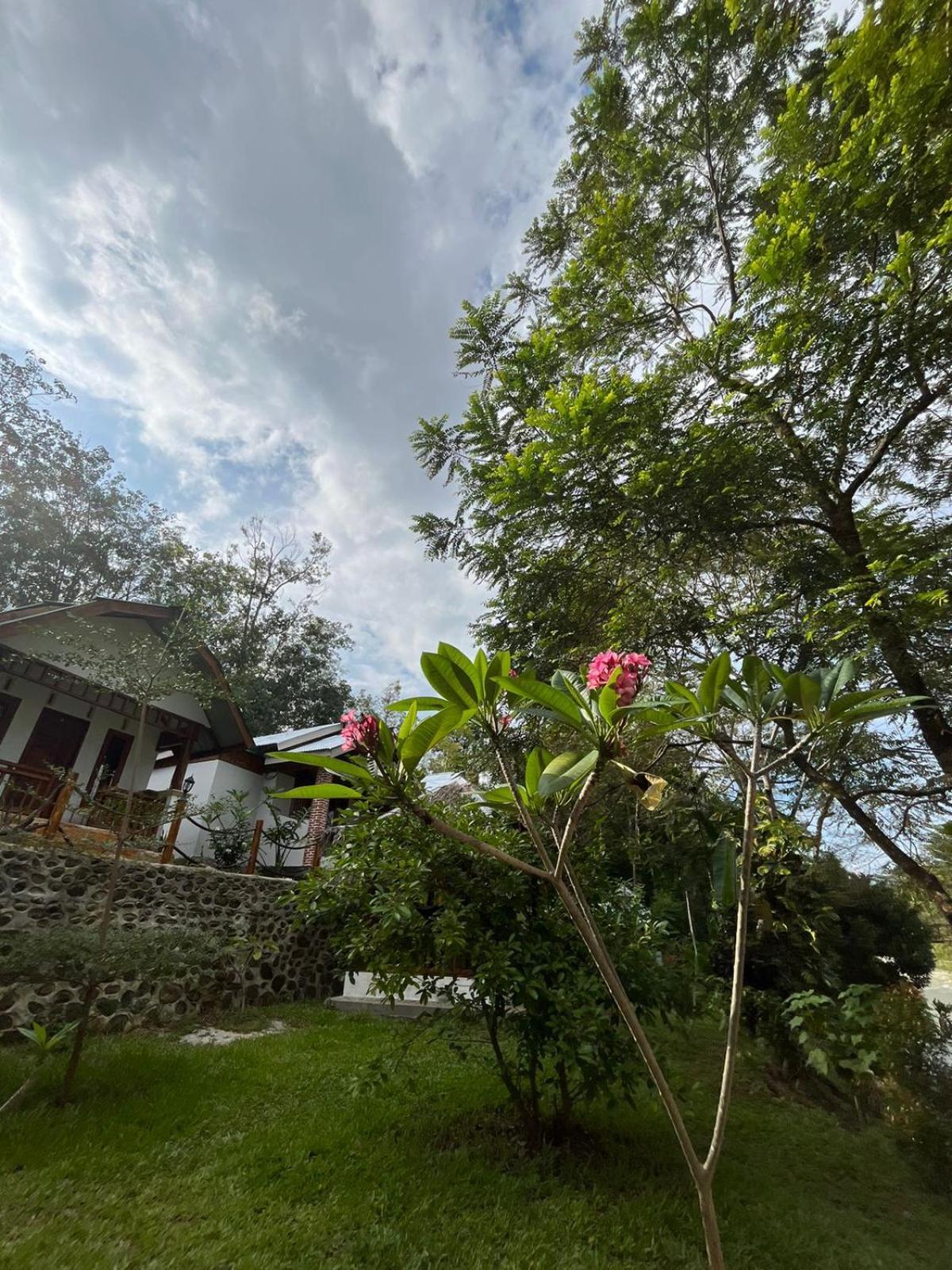 Asim Paris Guesthouse & Jungle Trekking 武吉拉旺 外观 照片