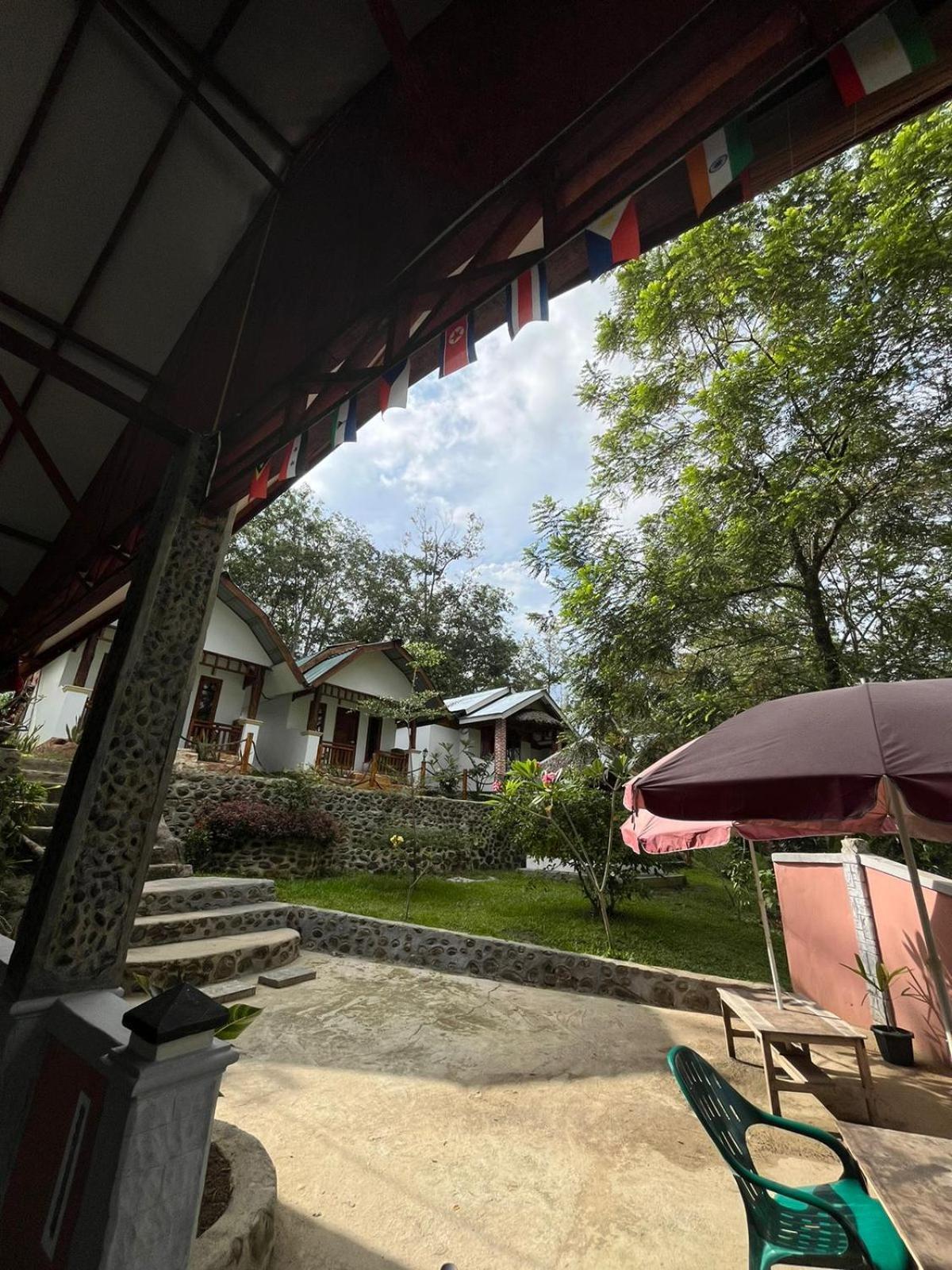 Asim Paris Guesthouse & Jungle Trekking 武吉拉旺 外观 照片