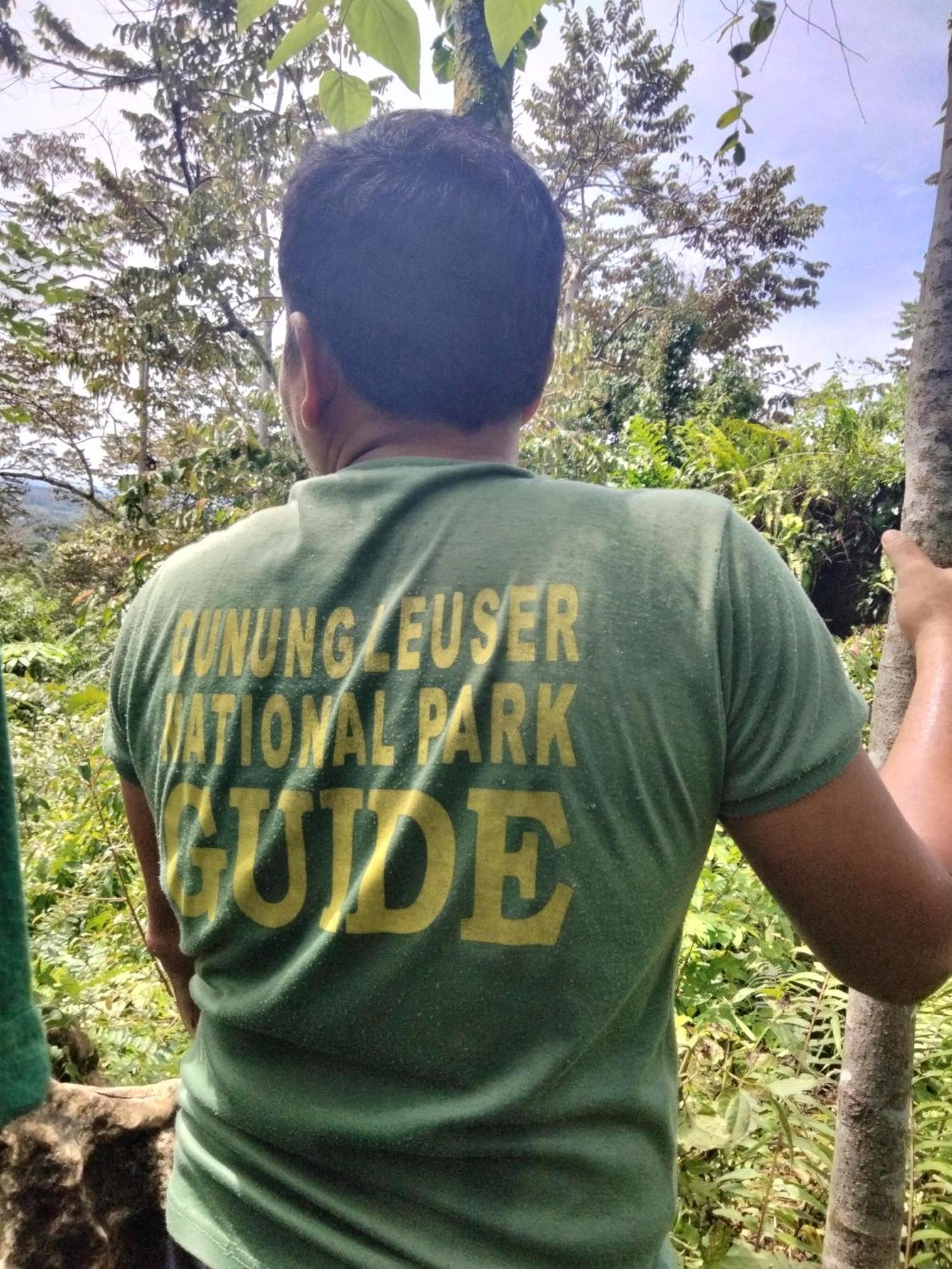 Asim Paris Guesthouse & Jungle Trekking 武吉拉旺 外观 照片
