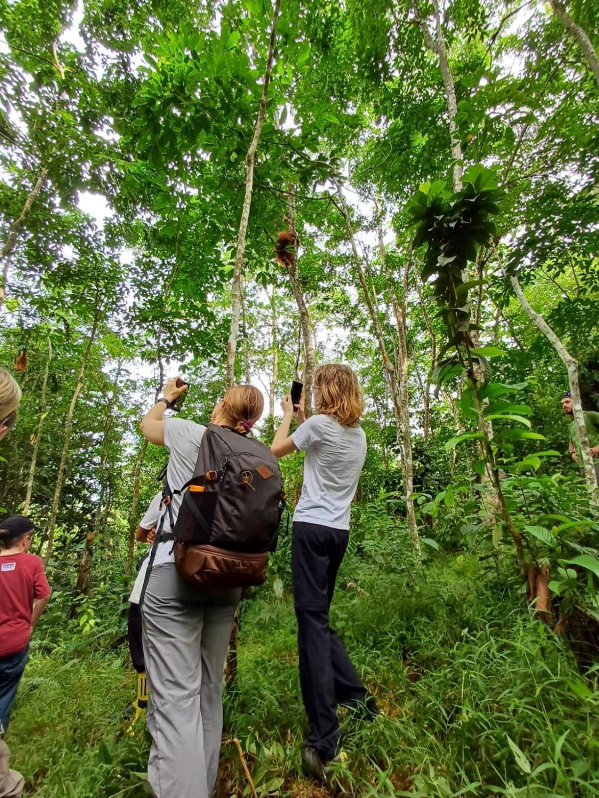Asim Paris Guesthouse & Jungle Trekking 武吉拉旺 外观 照片