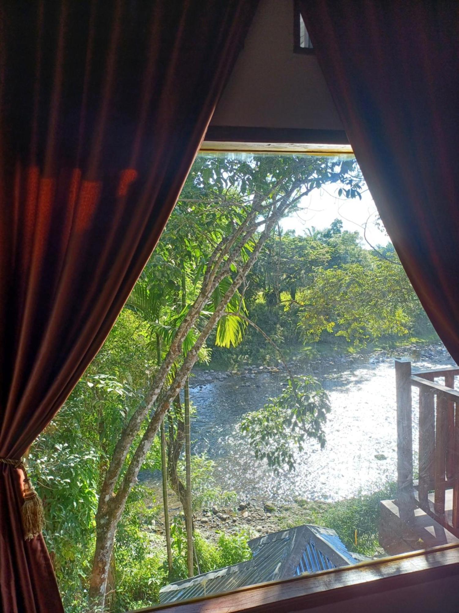 Asim Paris Guesthouse & Jungle Trekking 武吉拉旺 外观 照片