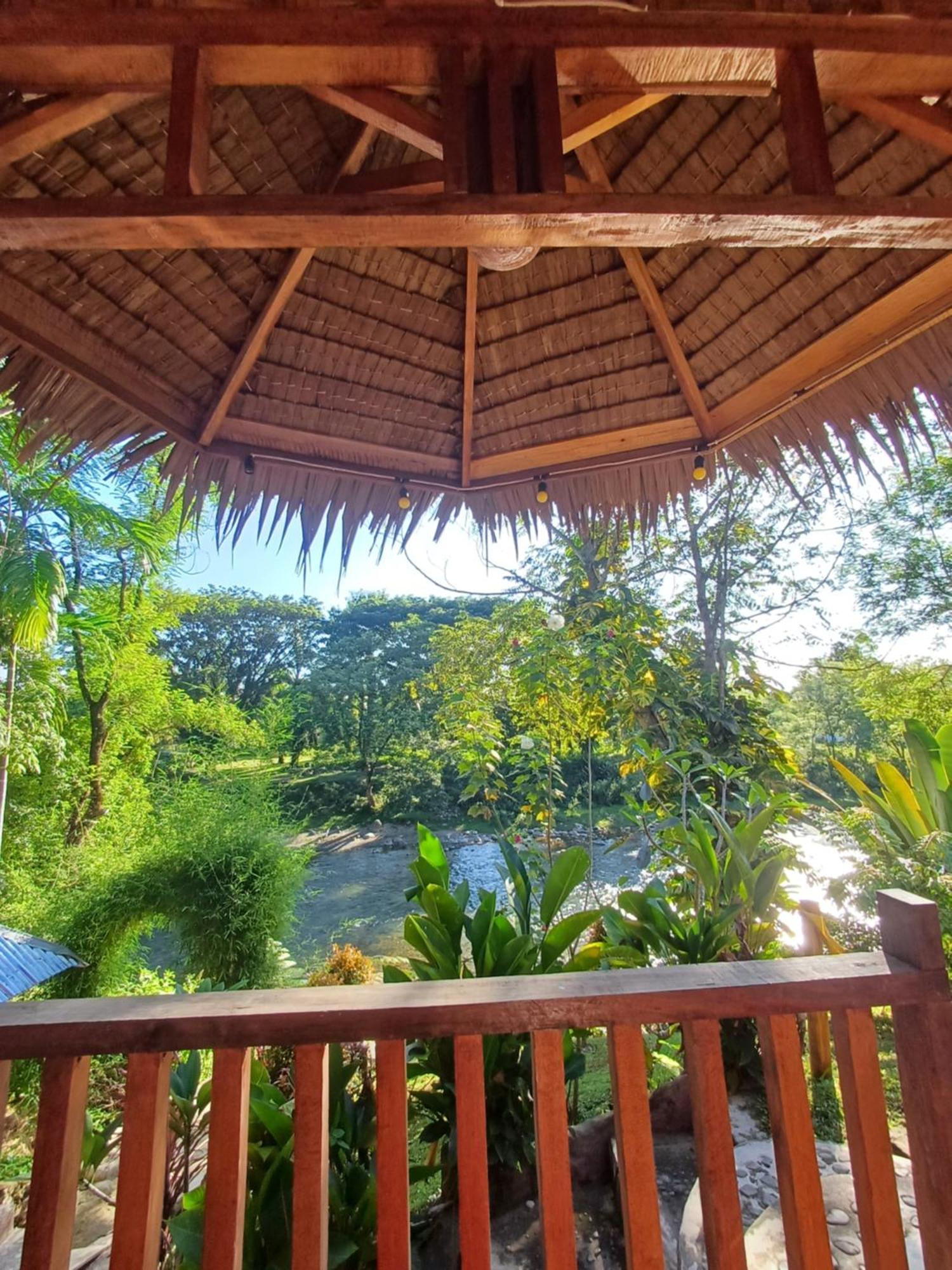 Asim Paris Guesthouse & Jungle Trekking 武吉拉旺 外观 照片