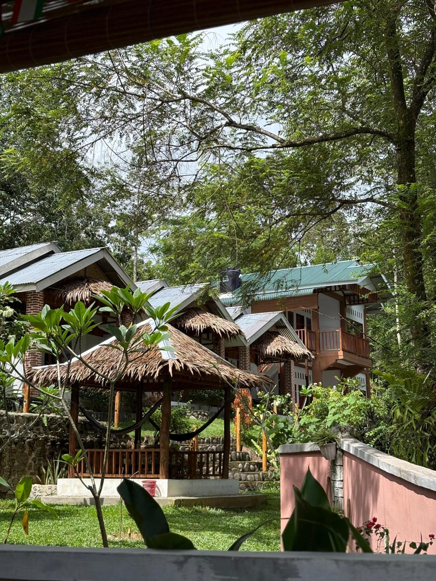 Asim Paris Guesthouse & Jungle Trekking 武吉拉旺 外观 照片
